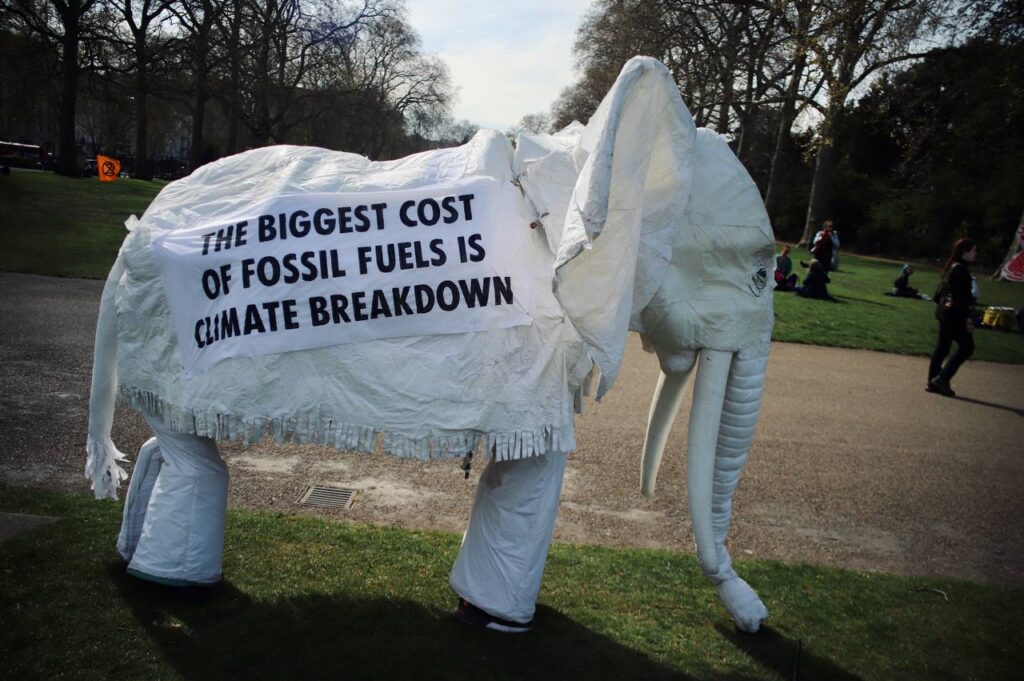 Nellie the Elephant stands in Hyde Park, London. She has a sign saying "The biggest cost of fossil fuels is climate breakdown"